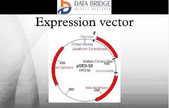 344x220 Global Expression Vectors Market Research Report Pioneer Columnist