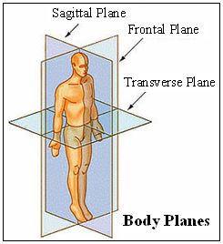245x268 Load Vector Training