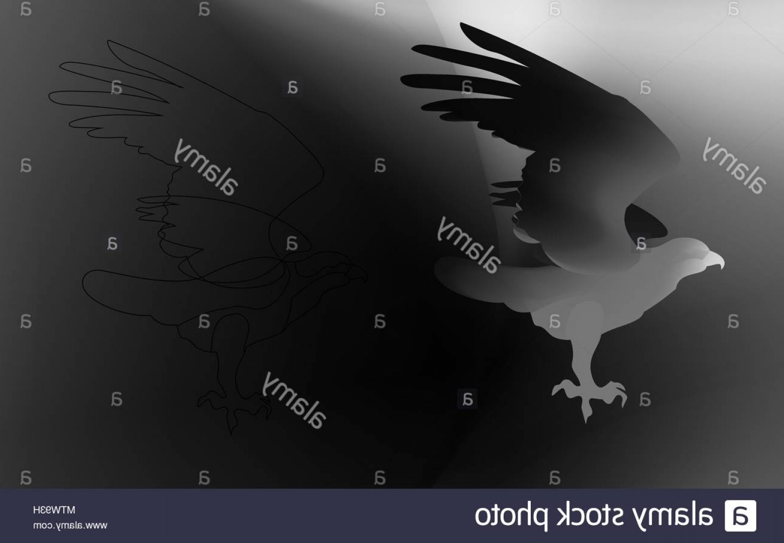 1560x1080 Fire Bird Eagle In Flight As A Symbol Of Power And Freedom Black