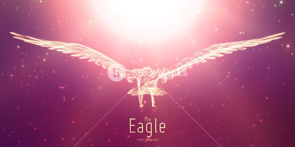 1000x500 Vector Eagle In Flight To The Sun From Abstract Swirl Lines Eagle