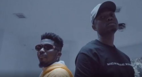 Vector X Skiibii 500x272 Vector X Skiibii