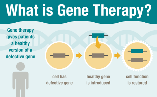 550x343 Laboratory For Vectorology And Gene Therapy Molecular Virology