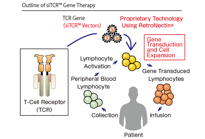 686x466 Gene Therapy Takara Bio Inc