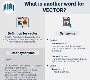 316x280 Synonyms For Vector
