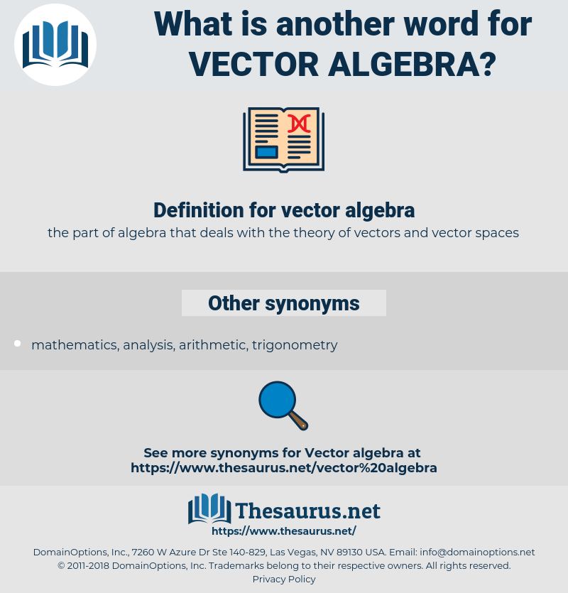 800x835 Synonyms For Vector Algebra