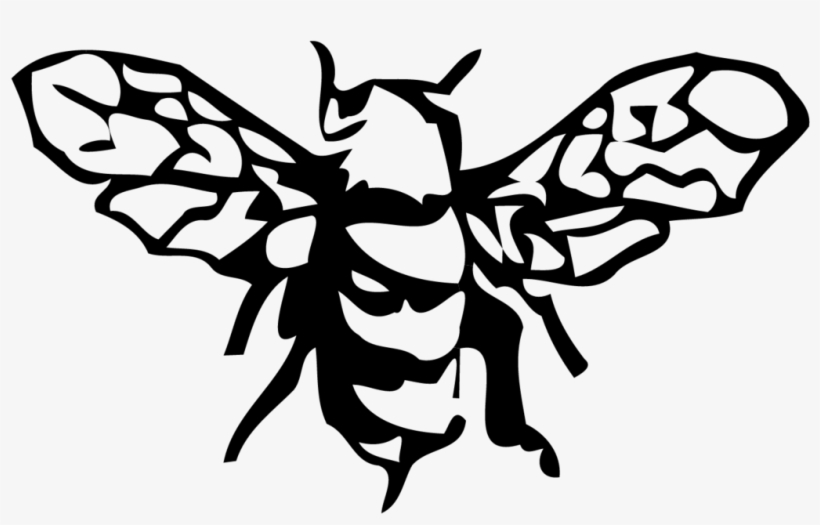 820x525 Vector Thesaurus