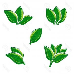 300x300 Tobacco Leaves And Star Made Of Pieces Of Wood Vector Geekchicpro