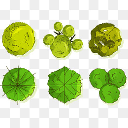 260x260 Shrub Png, Vectors, And Clipart For Free Download