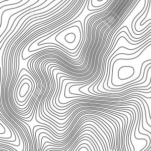 300x300 Topographic Map Contour Background Topo Elevation Vector