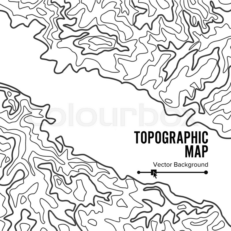 800x800 Contour Topographic Map Vector Stock Vector Colourbox