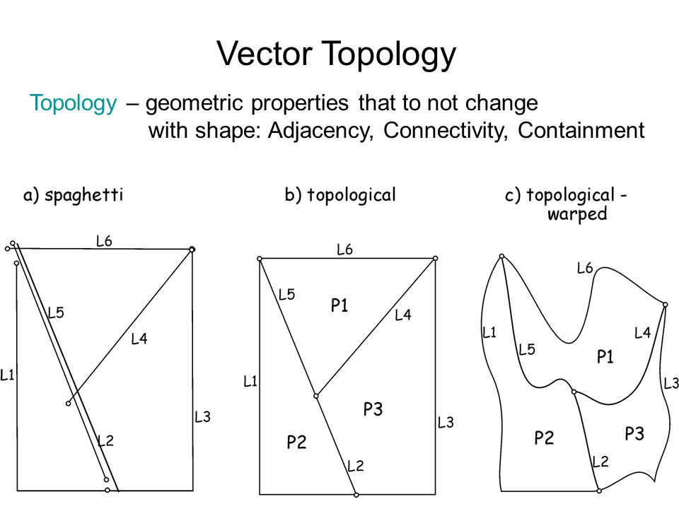 vector-topology-at-vectorified-collection-of-vector-topology-free