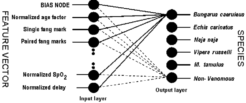 850x358 Neural Network Topology, Feature Vector As Input And Species As