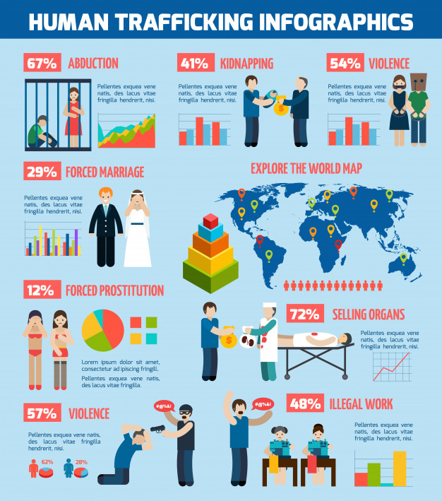 Human Trafficking Report Infographic Layout Chart Vector Free 626x709 Human Trafficking Report Infographic Layout Chart Vector Free