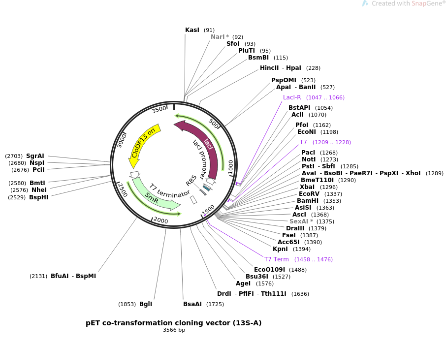 Addgene Pet Co Transformation Cloning Vector 906x701 Addgene Pet Co Transformation Cloning Vector
