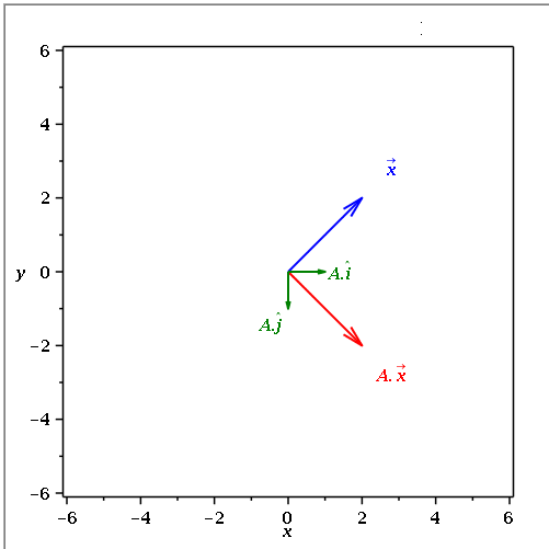 Transformation Matrix 501x501 Transformation Matrix