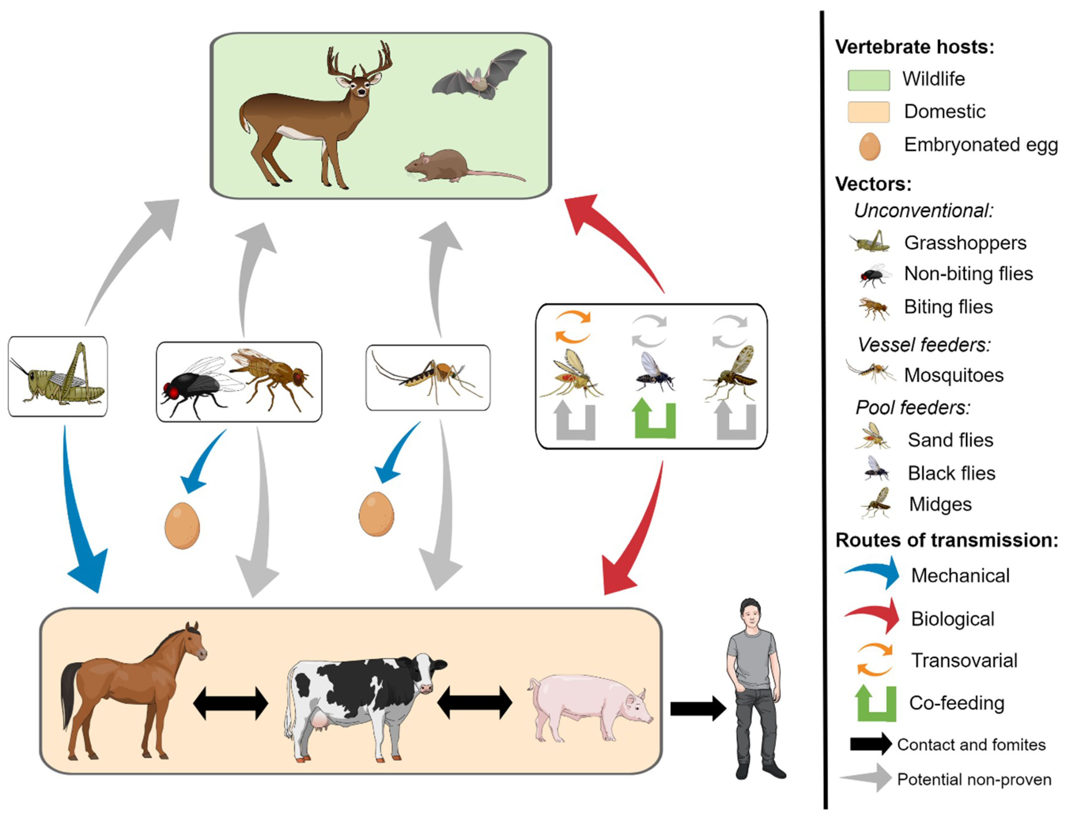 Vector Transmission at Vectorified.com | Collection of Vector ...