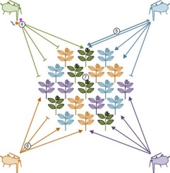 241x245 Vector Transmission Of Plant Viruses And Constraints Imposed