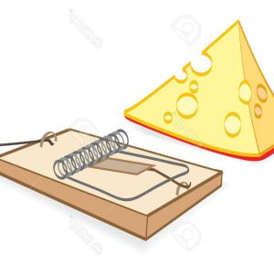 300x300 Victor Rat Trap M Case Traps P Soidergi