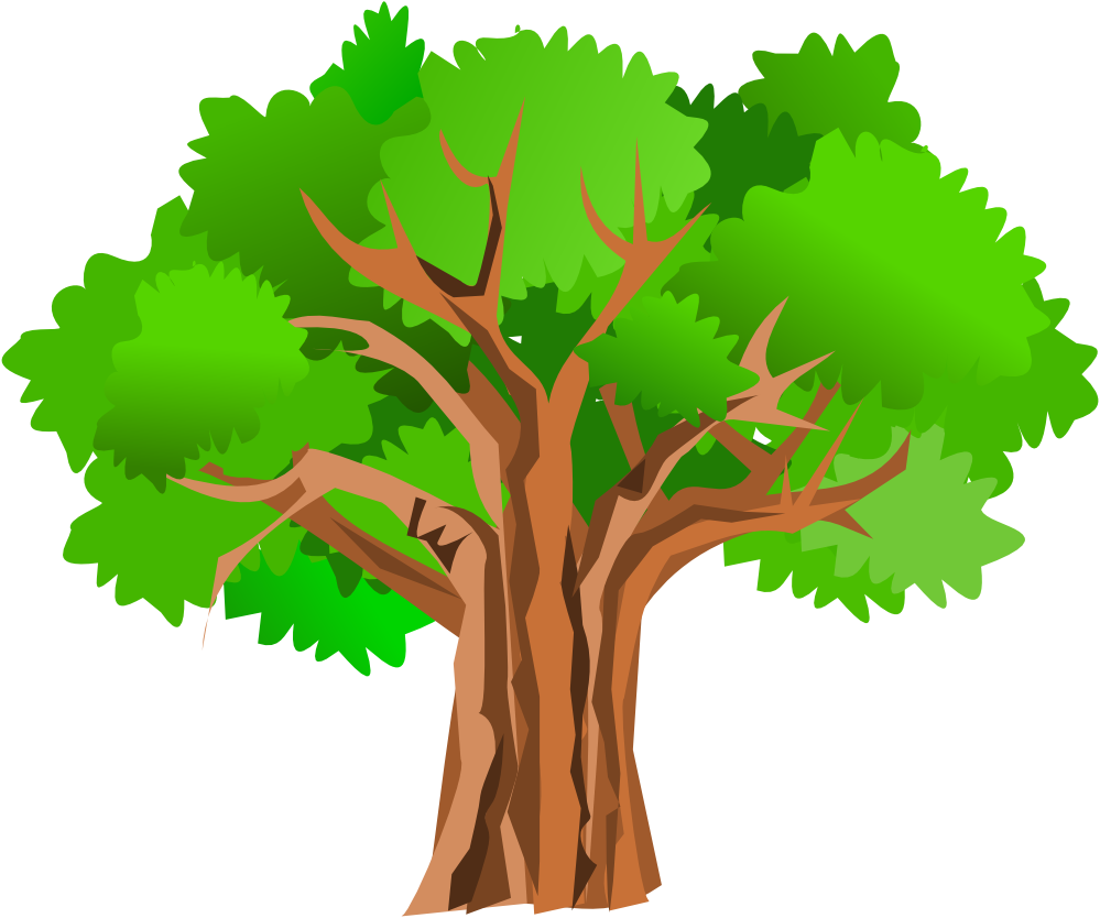 999x834 Tree Png Vector Transparent Tree Vector Images