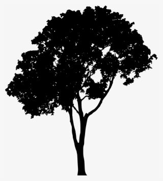 320x357 Tree Silhouette Vector Png Images Png Cliparts Free Download