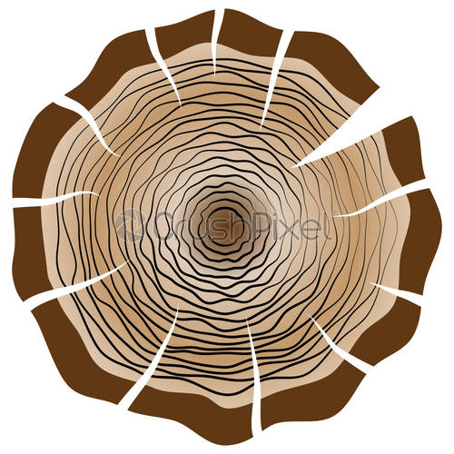 500x500 Tree Growth Rings Logo Icon, Vector Tree Rings Background