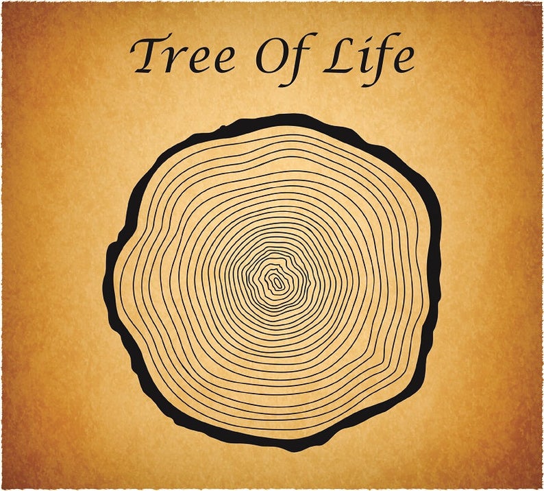 794x716 Tree Of Life Love Tree Tree Vector Tree Tree Etsy