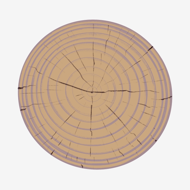 640x640 Vector Artificially Made Tree Rings, Vector Tree Rings, Age