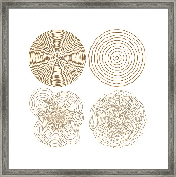 599x600 Vector Tree Rings Background And Saw Digital Art