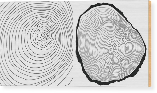 630x373 Vector Tree Rings Background And Tree Log Cutted Wood Print
