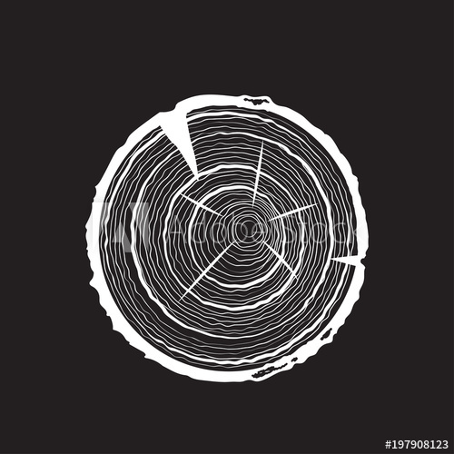 500x500 Vector Tree Rings Saw Cut Tree Trunk Vector Illustration
