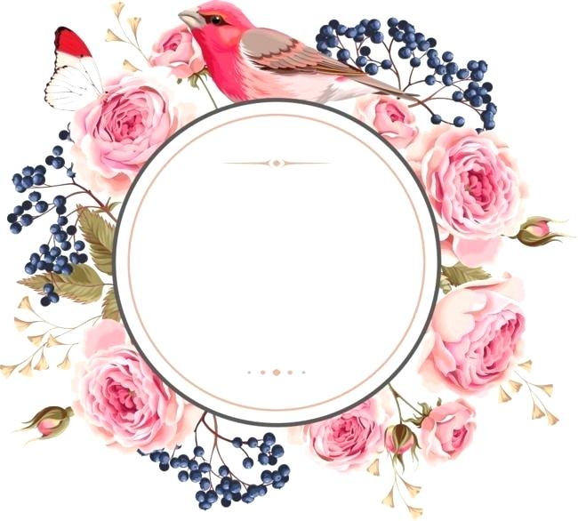 650x586 Greenery Vector Flowers Frame Png