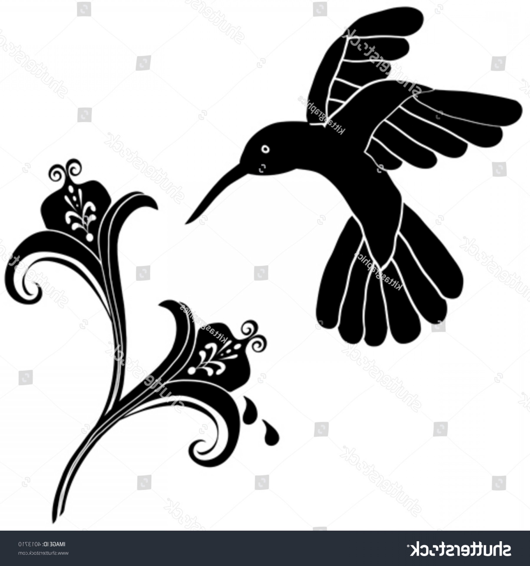 1800x1920 Vector Unique Hummingbird Flower Graphic Useful Handandbeak