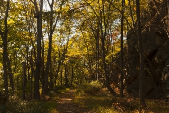 350x233 Smsx Sim Ingimage Cheap Royalty Free Subscription