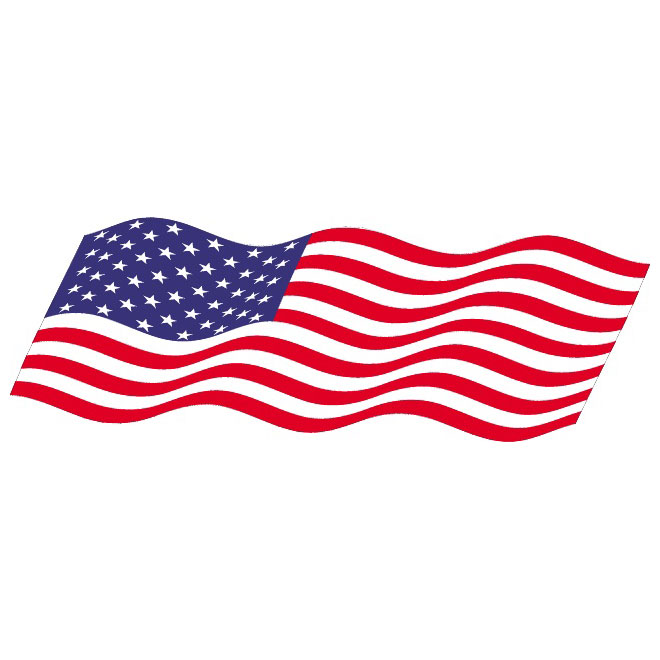 660x660 Vector Wavy Flag Of Usa