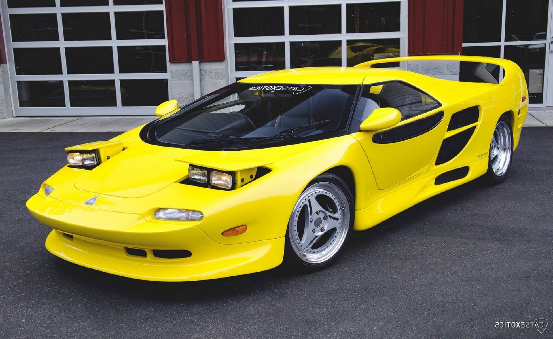 1920x1177 Rare Vector M For Sale At Cats Exotics Soidergi