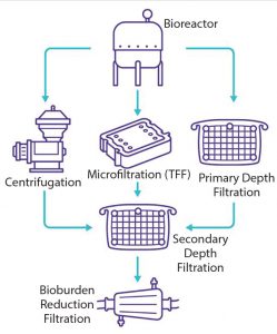 249x300 Vaccine Clarification With Filter Based Methods And Vector