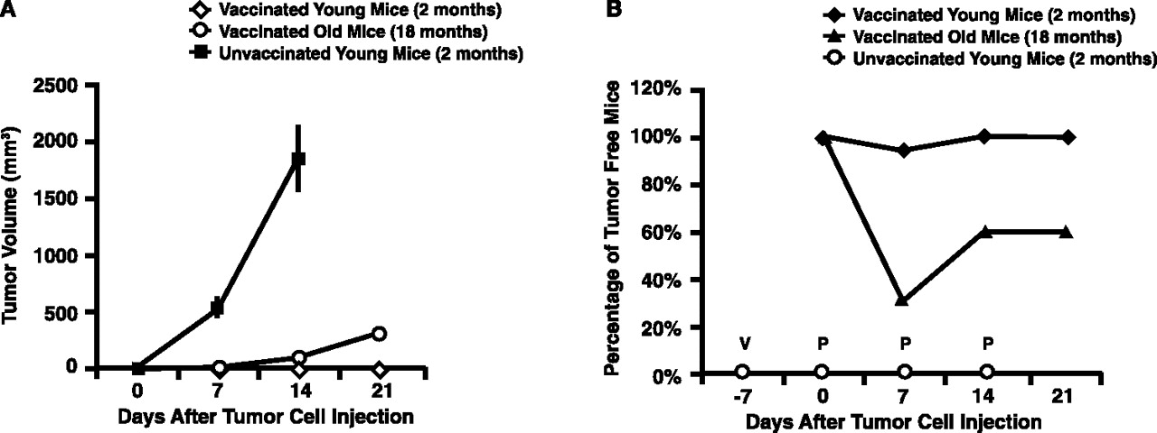 1280x480 Vector Primeprotein Boost Vaccine That Overcomes Defects Acquired