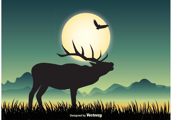 Wildlife Landscape Illustration 700x490 Wildlife Landscape Illustration