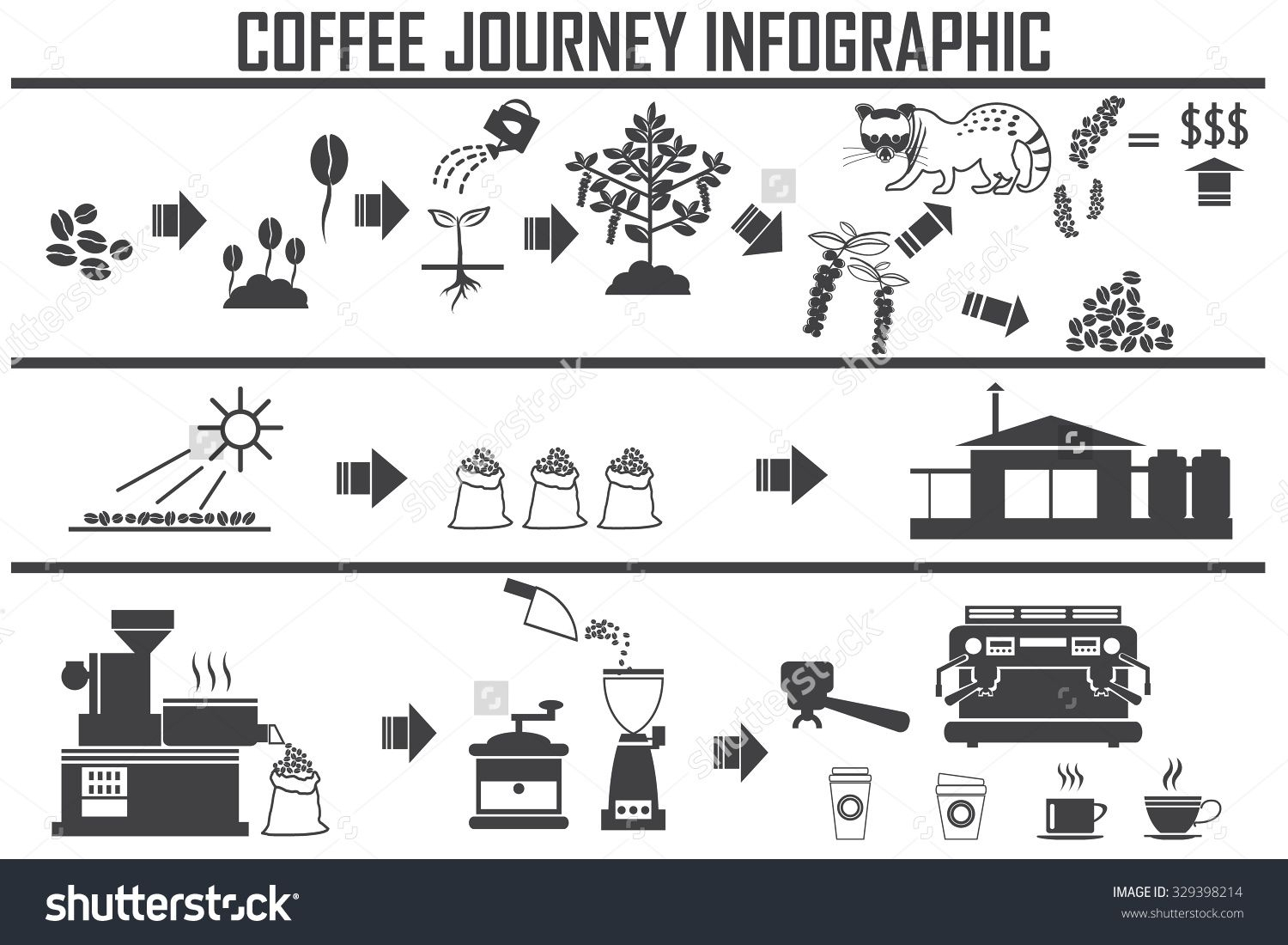 1500x1100 Coffee Types Infographic Coffee Infographic Flat Vector