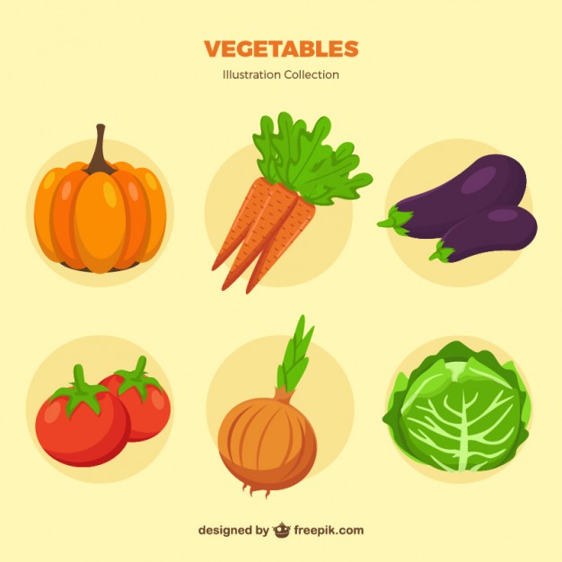 626x626 Vegetable Collection Vector Free Download
