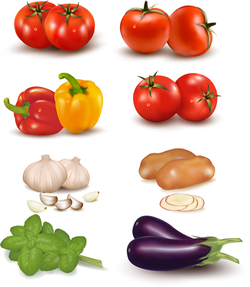 500x573 Vivid Vegetables Design Vector Free Download