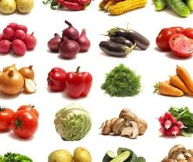 280x235 Vegetables Vector