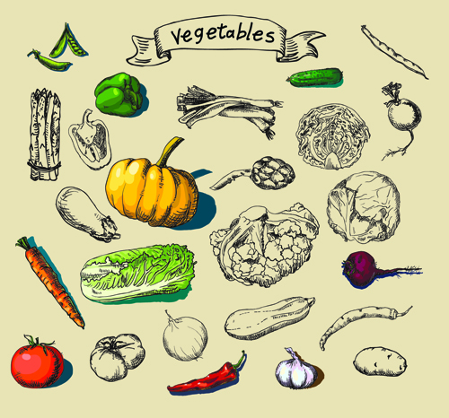 500x466 Hand Drawn Vegetables Creative Vector Material Free Download