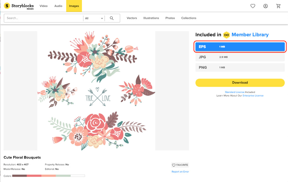 978x617 Leveling Up Your Creativity How To Edit Vectors In Adobe