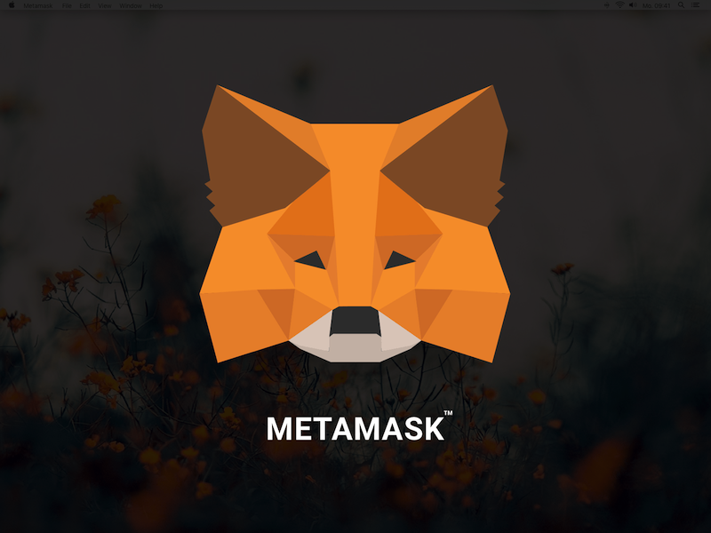 800x600 Metamask Vector Logo Sketch Freebie