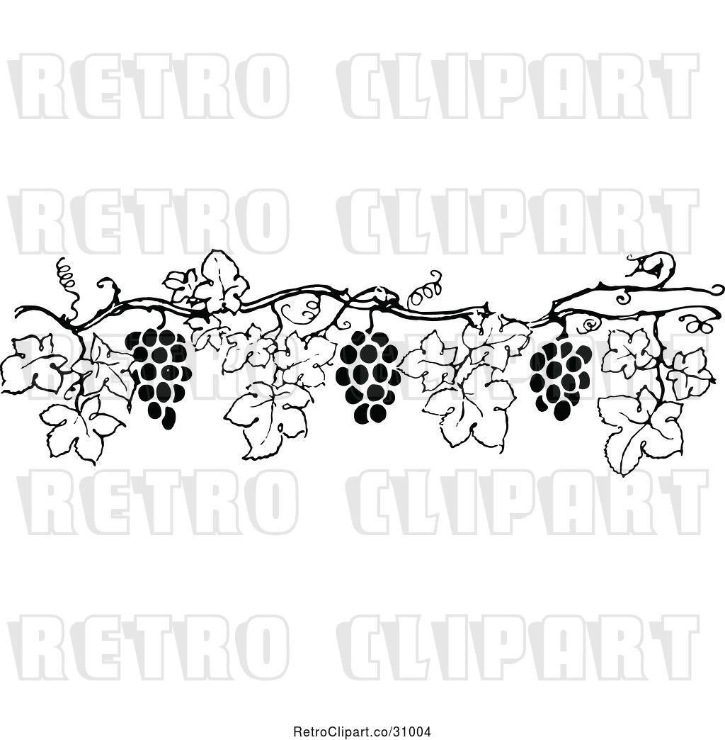 1024x1044 Vector Clip Art Of Retro Grape Vine Border