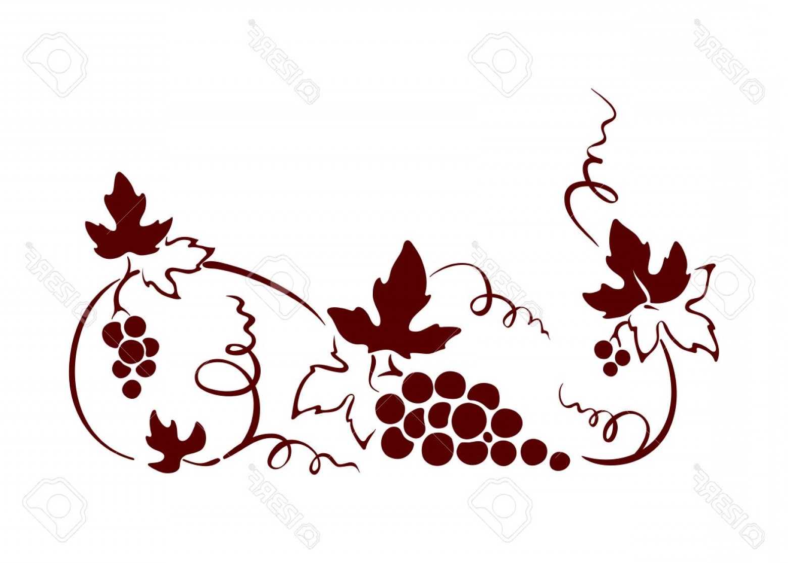 1560x1114 Vine Border Vector Catamart