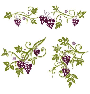 380x400 Grape Vine Border Vine Grapes Border Vector Quilling Vine