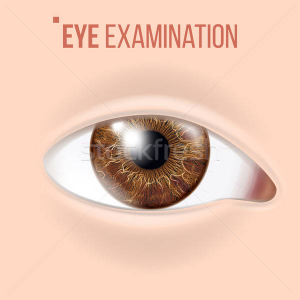 600x600 Human Eye Vector Vision Concept Clinic Medical Eye Diagnostic