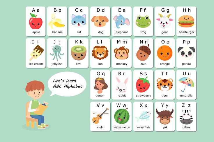 735x490 Kawaii English Vocabulary And Alphabet Flash Card Vector For Kids